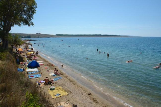 Apartments Mint Povljana - 50M From Sandy Beach Экстерьер фото